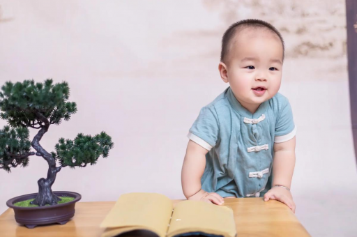 绥化可爱的企鹅宝宝